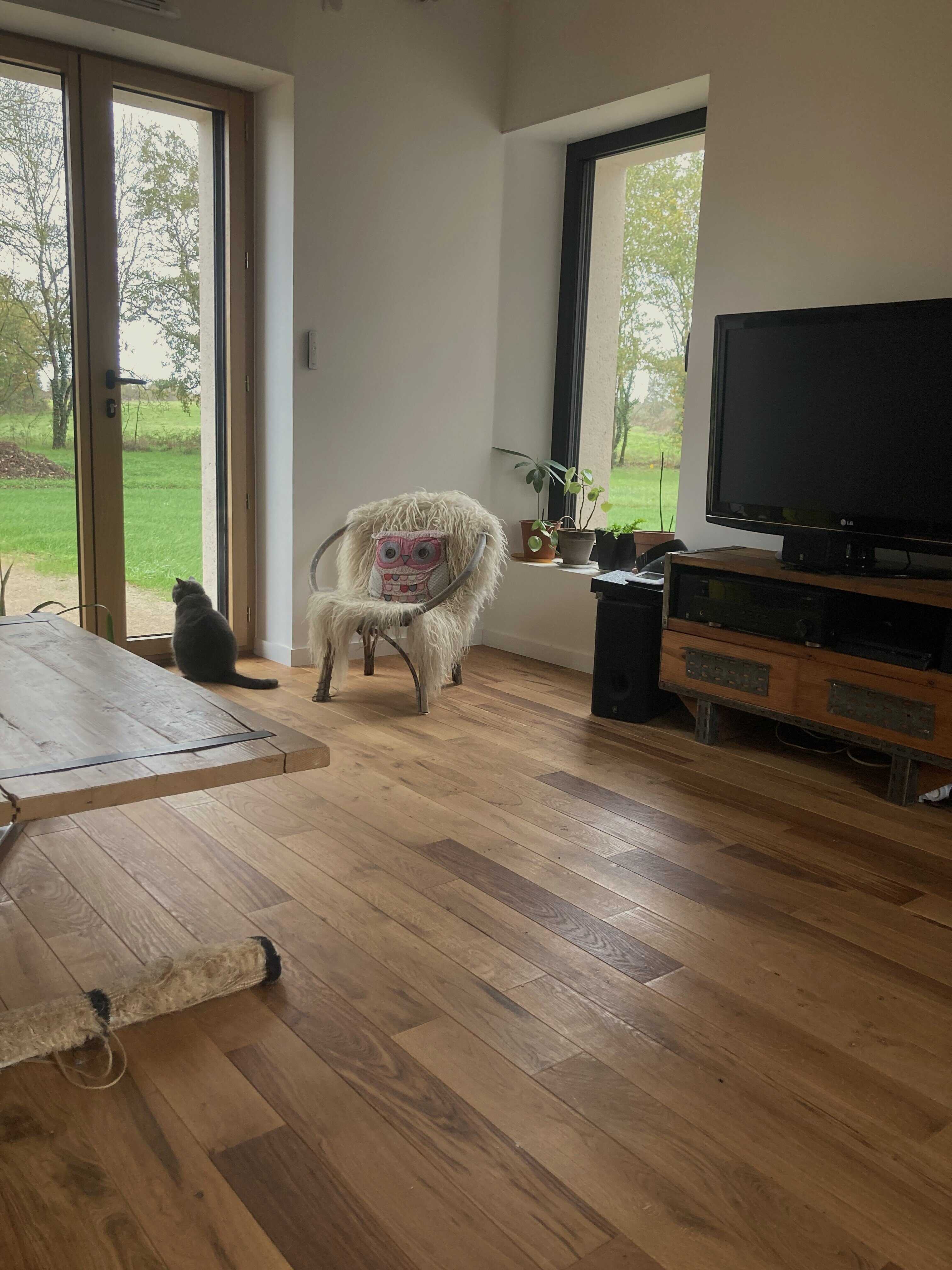 Renou Réno parquet salon1