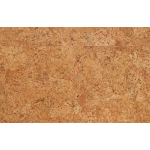 wise_originals_rhapsody_609960674