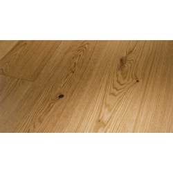 1428939_p58ac0bbfd7395_576x320