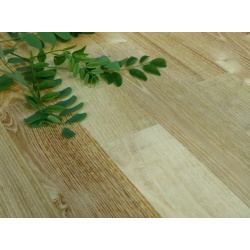 58f5e3d327dc5e3571d8e8e8_robinier-chignac