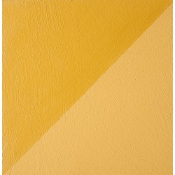 badigeon-teinte-base-argilus-jaune-de-naples