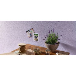 rauhfaser_pro_32_slider2