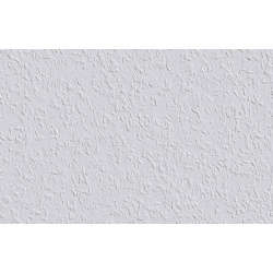 rauhfaser_pro_32_structure