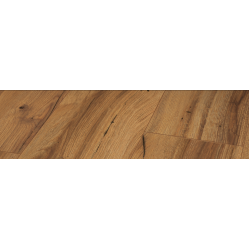 stratifi_chne_history_taxture_brosse