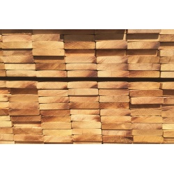 terrasse_robinier_921189633