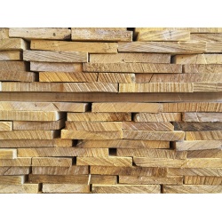 volige_peuplier_1_613984355