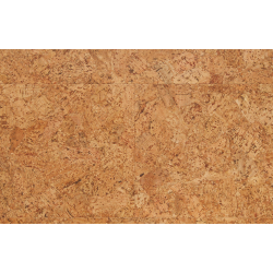 wise_originals_rhapsody