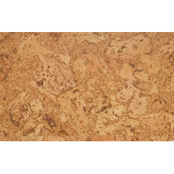 wise_originals_shell